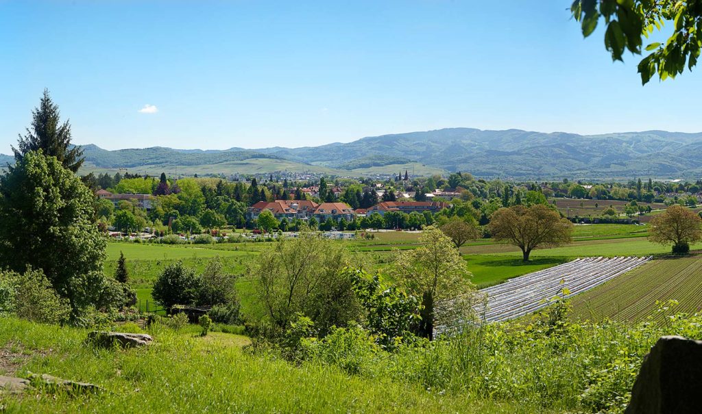 Fallerhof Umgebung